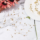 901e213e003f08ff05ff1fffdfffffe7dbfffffdf9d5bffdfdfffffffffffffe