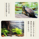 ffffff0cfeeafe00fe00fe80ff40ff30ffff87fb813f80bd817f803f803f83ff242424242424390f2424242424143424