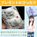 00000b280000861bfe1f9f1f839da198879b8f9f803f881d851dffffeef9dbe51d1d1d1d8b2b6b8d8b332b898b1c0900