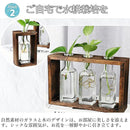 ffffb927ffffe7ffc36fd773c669d400cc72fce0fcc2fcc2fc08ff02ffffffff000000009c11b3b39c130fb39c9c332b