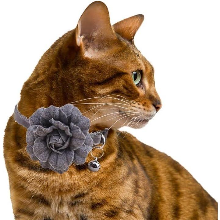 fffffe7ffe1ffa3ff11fe00fe00fc00fc02f801f803f800f8003c001c000c000000000000016160000a6140e00041718