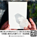 474b0ff00ff00ff00ff00ff00ff00ff00ff00ffa0ffc0ffd0ff1fffffffdfffc8789121514332b893c2b3392a2022b06