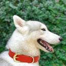 02020032088480209a000e000fe00ff00ff81ffe3fee3fc01fd06fc0e880f8c05a4b3f696b0064666680202b521e1c06