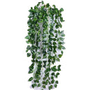 fffffafff01fe01fe03ff07fe05fe01ff05ff11fe41ff07ff23feafff27ff0bf0000000000496d000044540000504100