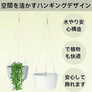 00000000fffffffffffdfff9ffffffffffffffffffffffffc77fcc3fc7ffeffb2d2d2d2d30302b352e2b2e352d472232