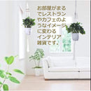 fffefc0efc5ef07ef061fe61fe53fc67fdeff8ff99ffb0ff01fe1000400023fe