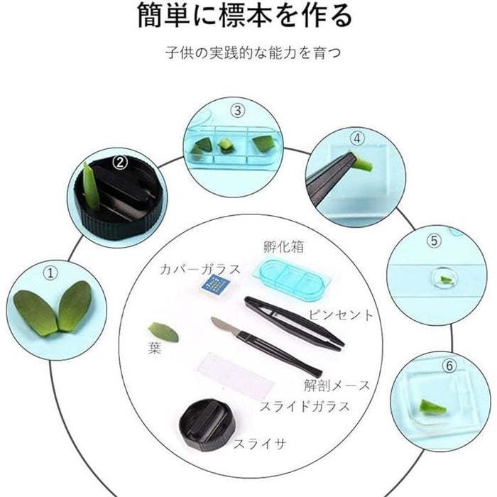 TOYMYTOY 144個 顕微鏡スライド サンプル標本 子供の科学のおもちゃ 顕微鏡サンプルスライド 美味く