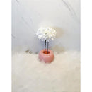 bffffffbfffffffe5ffe1fc203e0010000000007fc1ffe3ffefc3fb001101000a21c1c1c92a2221c9a009f091e20171c