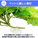 0000600c60000001000000040403020187c07ff067f4f3ffffffffffffffffffa3a3a3a33c3e44350033003b00003200