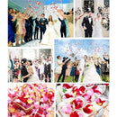 809f84f2a7faa097a1bb8fbbdffffddfbb3bff3ca18ecd0efbd53c9680d809f77a8e802b906f251f4000118e25143dfc