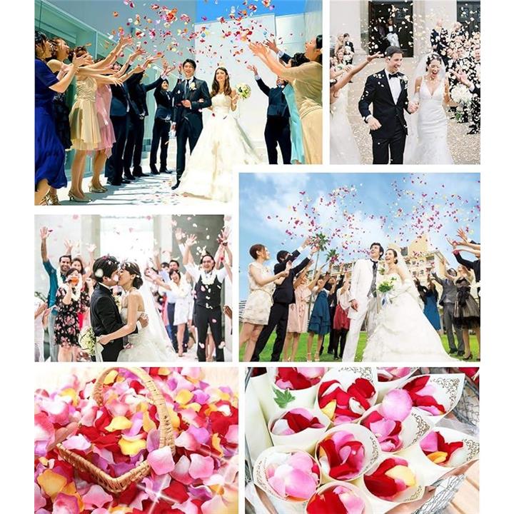 809f84f2a7faa097a1bb8fbbdffffddfbb3bff3ca18ecd0efbd53c9680d809f77a8e802b906f251f4000118e25143dfc