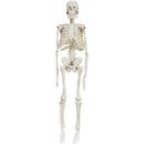 ffffff7fff7ffe3ffe3ffe3fff7fff3ffe3fffbffffffebffebffebffefffeff0000000000001e0000002b0000000000