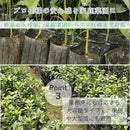 08b004bc0100ffff1021081024800000ffffe1088d8c828ac79ea1ff88ffb7ff3137353d2e20303a00eb00003134333a