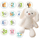 ffff9bf79b77fffffff3bba88b80bfa2ffc2ab80eb80ff80ffc3c33be831fe71