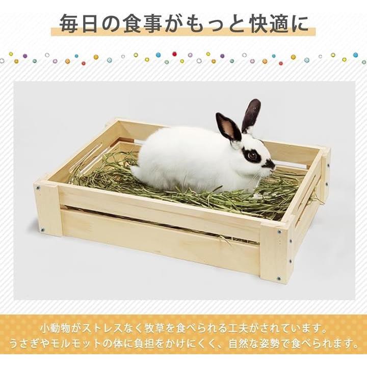 ffffffffe0039cf5ffffffeff9cff1f3e021c405c003f003ff87ffffffff14b00000000000000000001f2b1f0000001f