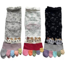 fffffffffffffb63f223eae3e3e3e323e263e223e223e223c221c3e3ffffffff00000000002b32a4001c75a400903081