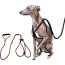 fffffffffe1ffc1fff9fff87ff87ff83cb82d583df83ff83bf33bebfffffffff00000000000000000000001000000b0e