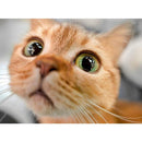 7fff7ffcff4ef676e77df69ff88fe00be84dea7df818f01ce018f808780837c01b101700001115138f111215860f1716