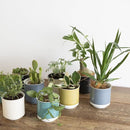 ffffffffffffffffffdfffbfffd9ffe3f45b0287000300040045604c700002002b000000000000000f2637ab663a2495