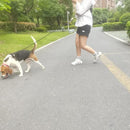 007f003e00180032000f01ff0fffc7ff7fbf8fffffffffffffffffffefffffff35333002312f3247291e22221e242422