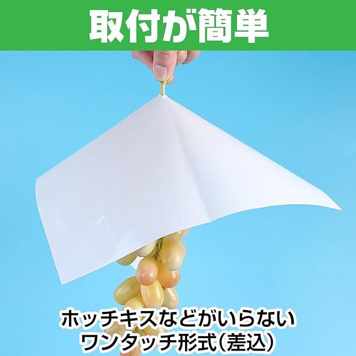 000007f0000000000000fd80ffe0fff0fffd7ffe3fff7e7f7efffdfffbeffaff5b5b5b5b8c8b8b8b8ca29c9e8d98198e