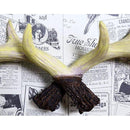 fffdf7ffc3ffa2ffacfacff3efc207c003aee1fb781ffc0ef40c90008003f80f75a9a0a9ae179c9c1f1e316ba4a5f2a4