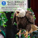 fff0f7f0f9d0fff0fe30816ec3e2c0c2f0000102400000030005803500f0c03854ce5db23f61003a7900030f69001408