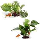 fffffdffc8bf80bfc0fff81fc00fff9fffcfffc9ff43fe0ffb83ff8ffecfff8f0000000000392b000000000000006241