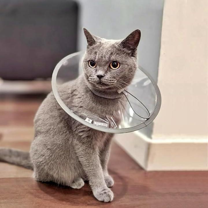 03ff01ff01ff00df02df043f0bdfce370e1f137ff0ffda7f101fc00f00800080a2ab5e00f1f20d000d100b1310100e16