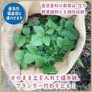 ffffcf9581ff9012c806f342f142eb20f4029006e60ce42af638fffdbffcdfde1f1f1f1f1f24666c1f5864501f585a1e