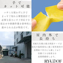 ff00fb01ff00fd00df04ef98ad90cb30f8fff0ebf0fff09e40ec00ff00ff00ff1c1c9898000098989a941c80948e7500