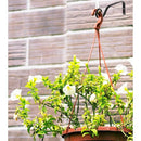 999fffc4f8eff0ecf9fbffbe9fffffffffdf830ba4829447f800ec10f904b0020006e6c70000071000032b0e00044529