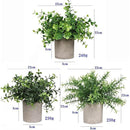 ffffffffffbffc3ff81ffc3ffe3ffe3fff7ff7ffe3818381a083f1e6f3e7f7e700000000000045000000ae0000494746