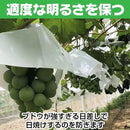 000033bd00000c077e10ff24ff6cfff0fffc81f8808681c0c17ee1fc6cc0ffe85b5b5b5b3b3b3a323a5a5f5a353c3719