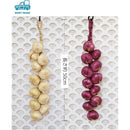 ffffdfffffff55a7fff7bfa3a3e3e763cb404163c1e3e3a0e2e3a2e7e7f055ff000000009cab00f51c1f00f2a21a00f5