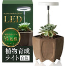 ffffc07fc07fc57fc07fc077c077c063c063c011c000e000c840c841e241c07b0000000000435d2b0057183000005a14