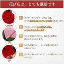 ffff98208000cfff8fff83ffdfffcbc787ff836fcffffbbf8fff87ffcfffffff00000000009c000000f5ab00001a1300