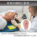 000001800000fff8fffcf7f8ecdcf0eec0ede66fe1efe5ff026f007ffffffeed0404040433932433750c132b722a0e02