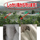 fffffffefffe000000c019820000000000000000130e938f918f99eb9bef9ff7