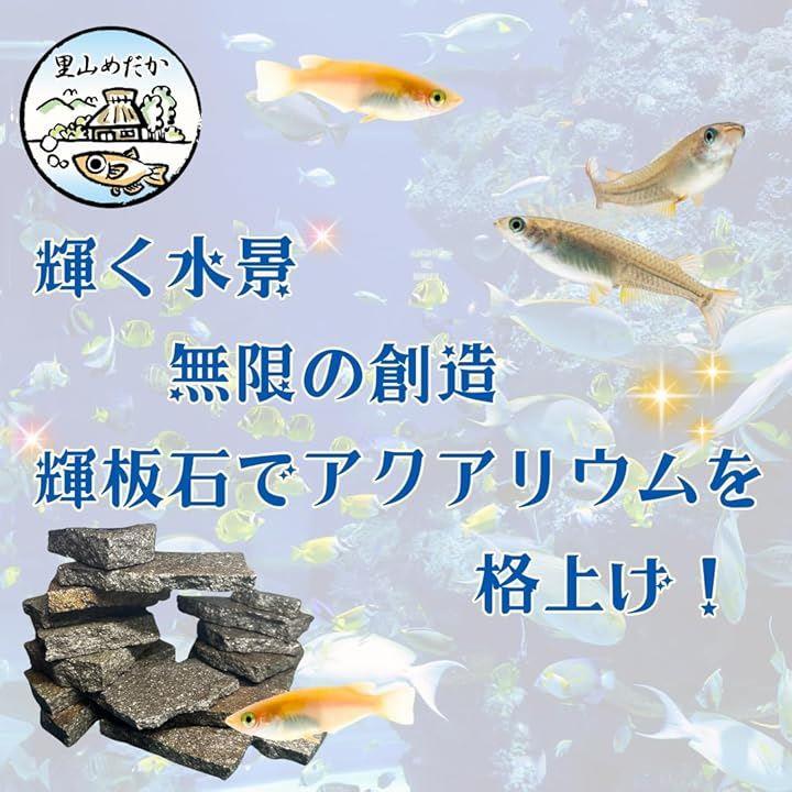 ffffffffe73ffffdeffbb3e3f7fdfbbff6bfffffafe98fffcbff81ff80ffe1ffa2a19da1a9a39fa9a1952449a13b9279