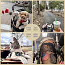 fffff4e3fcca9ad9f095c588e1a2f5c0fffffa92f7b2ffa097c081c09f80e3c0