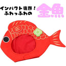 ffffffff81ffc9fffffff9ffe07fe03fc049c001a001800ec00fc01ff0ffffff00000000000000d600010b0000feff00