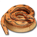 fffffffffe07f803f001e000c000c001800081c08001e000c039fcc7f7ffffff0000000000140b0a00160b0d00221818