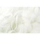 fffffe5ffc15f9e7fa63f871e043e041f001e001c001c001800380018003ffff