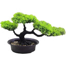 fffffffffffffffff07fe03f8507c580fc40f9ffe03fe07ff07fffffffffffff00000000003737000000bc3900bcce00