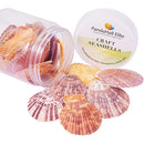 ffffffffffffffff81ff0d1f098700831017c001f8b7f813e003f80ffe1fffff