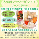 ffffc6dffe1fffff9a5f823d8033e62ce120fe6d90a580edfab6ffffffffffff2922212423006b002303f7102200476b