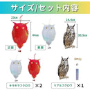 000009000000dfffe7f7e333e730e733def3ffffffe7cce7c8e7edefedffdff5867c6136000500b00006001800000017