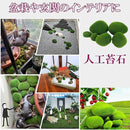 ffffd6c7ffff9c308da0a830a23f8bff83ff843f81ffc021c513c1b0e000c000000000000048895095929f0000449541