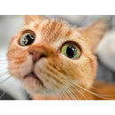 7fff7ffeffcef676e37df69ff8cfe00be84dea7df818f00ce018f008780837c01a111e0032071513900e121580101717